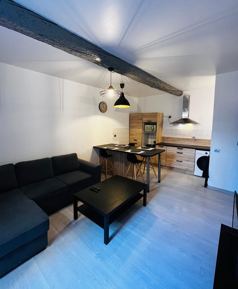 Bed, Kitchen or kitchenette, Living room, Photo of the whole room, Seating area, Dining area, minibar, stove