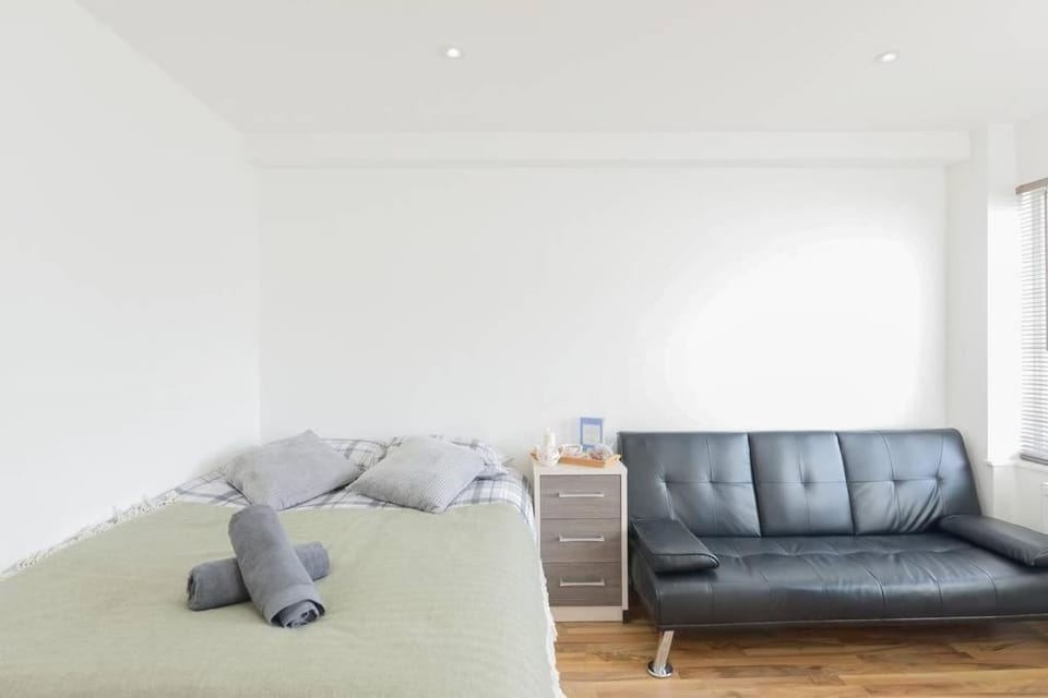 Bed, Living room, Photo of the whole room, Seating area, Bedroom