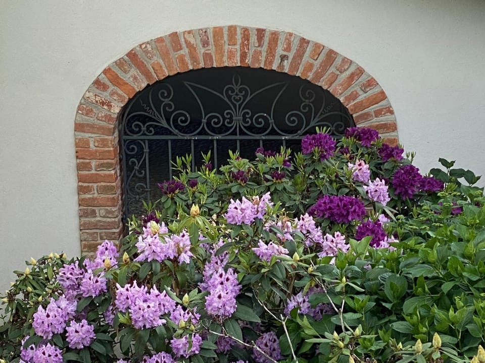 Facade/entrance, Property logo or sign