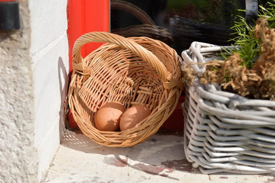 Spring, Off site, Day, Natural landscape, View (from property/room), Food, Garden view