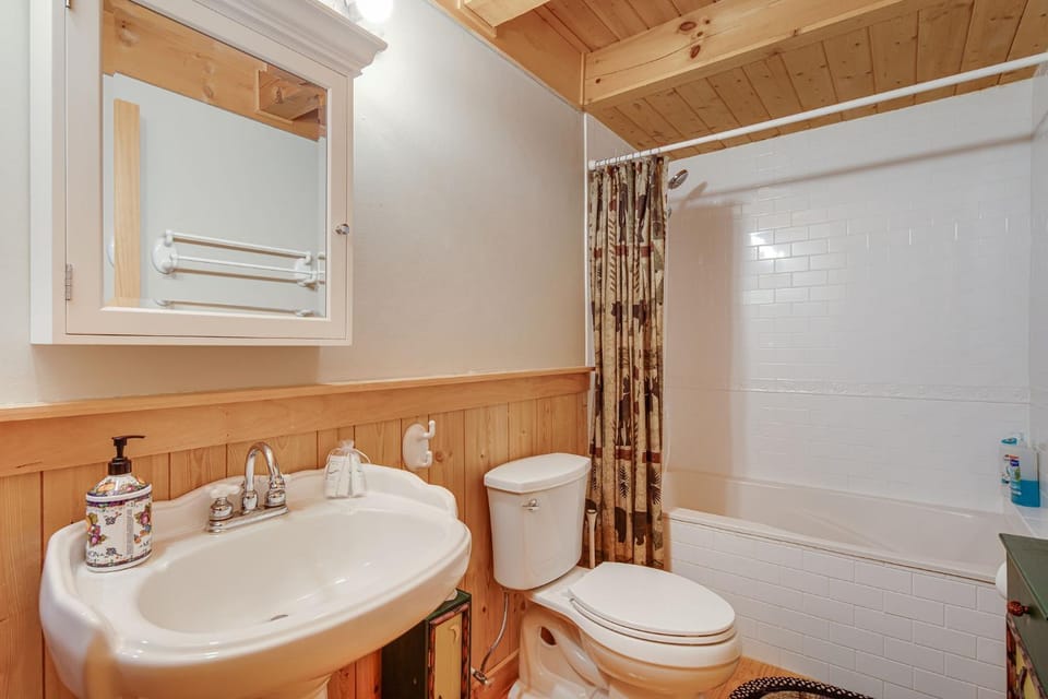 Lake Lure Oasis in the Woods w/ Hot Tub & More! House in Lake Lure
