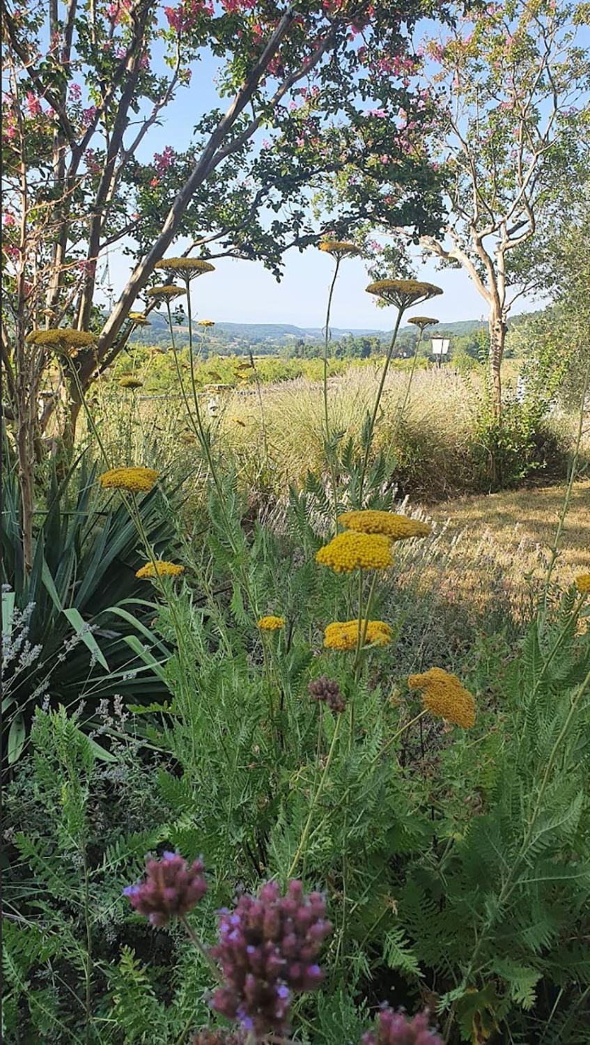 Natural landscape, Garden, Garden view