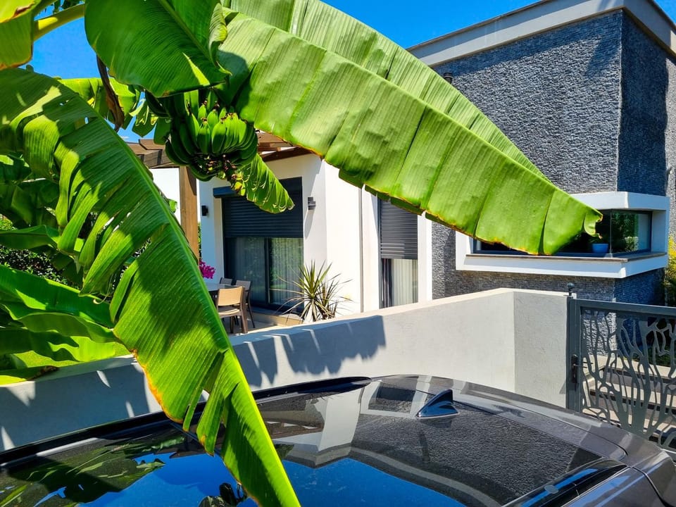 Property building, Day, Garden, Garden view