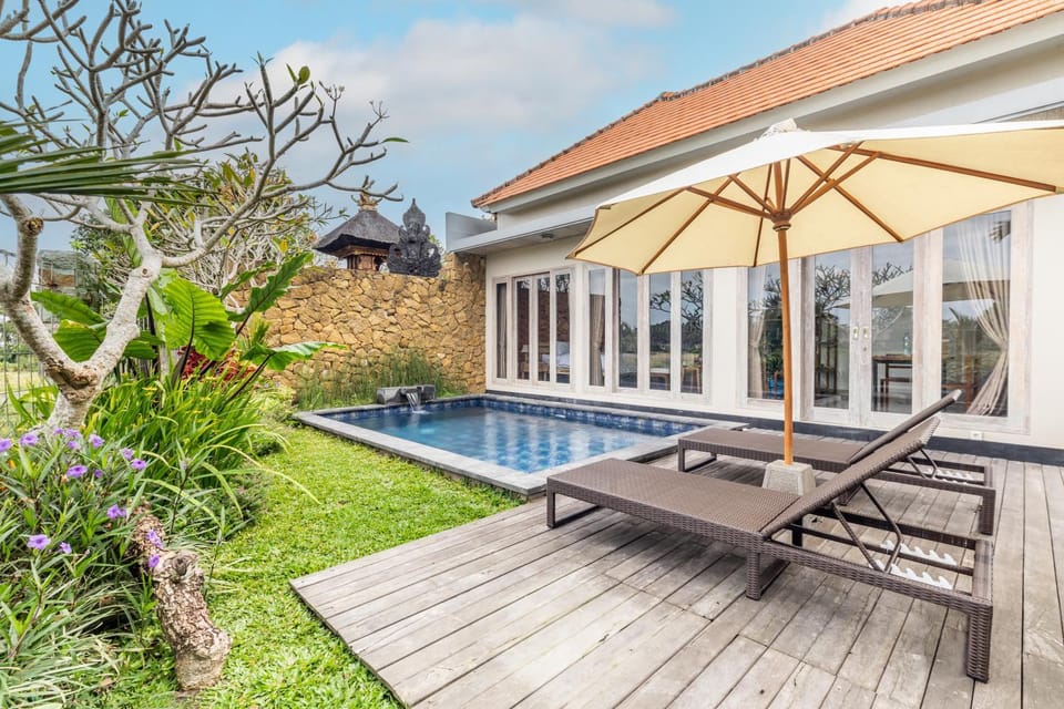 Patio, Spring, Day, Garden, Garden view, Pool view, Swimming pool, sunbed