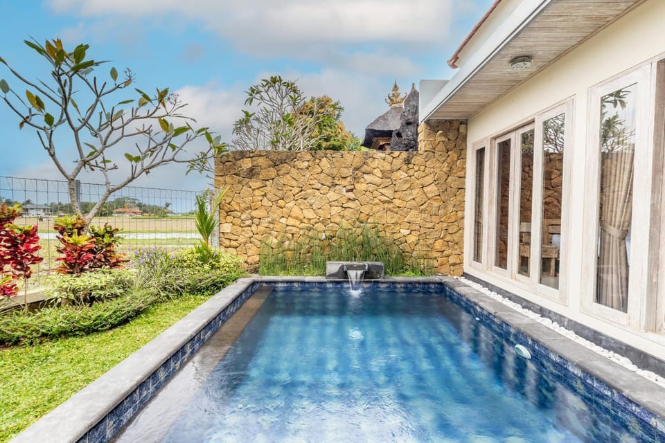 Day, Natural landscape, Garden, Garden view, Pool view, Swimming pool, Swimming pool