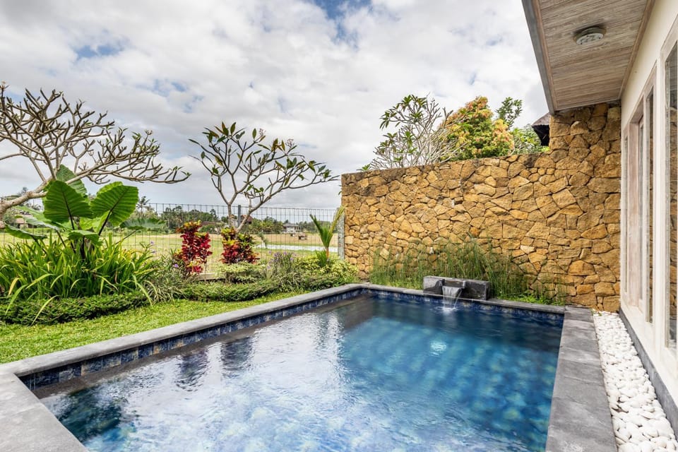Day, Garden, Garden view, Pool view, Swimming pool, Swimming pool, sunbed