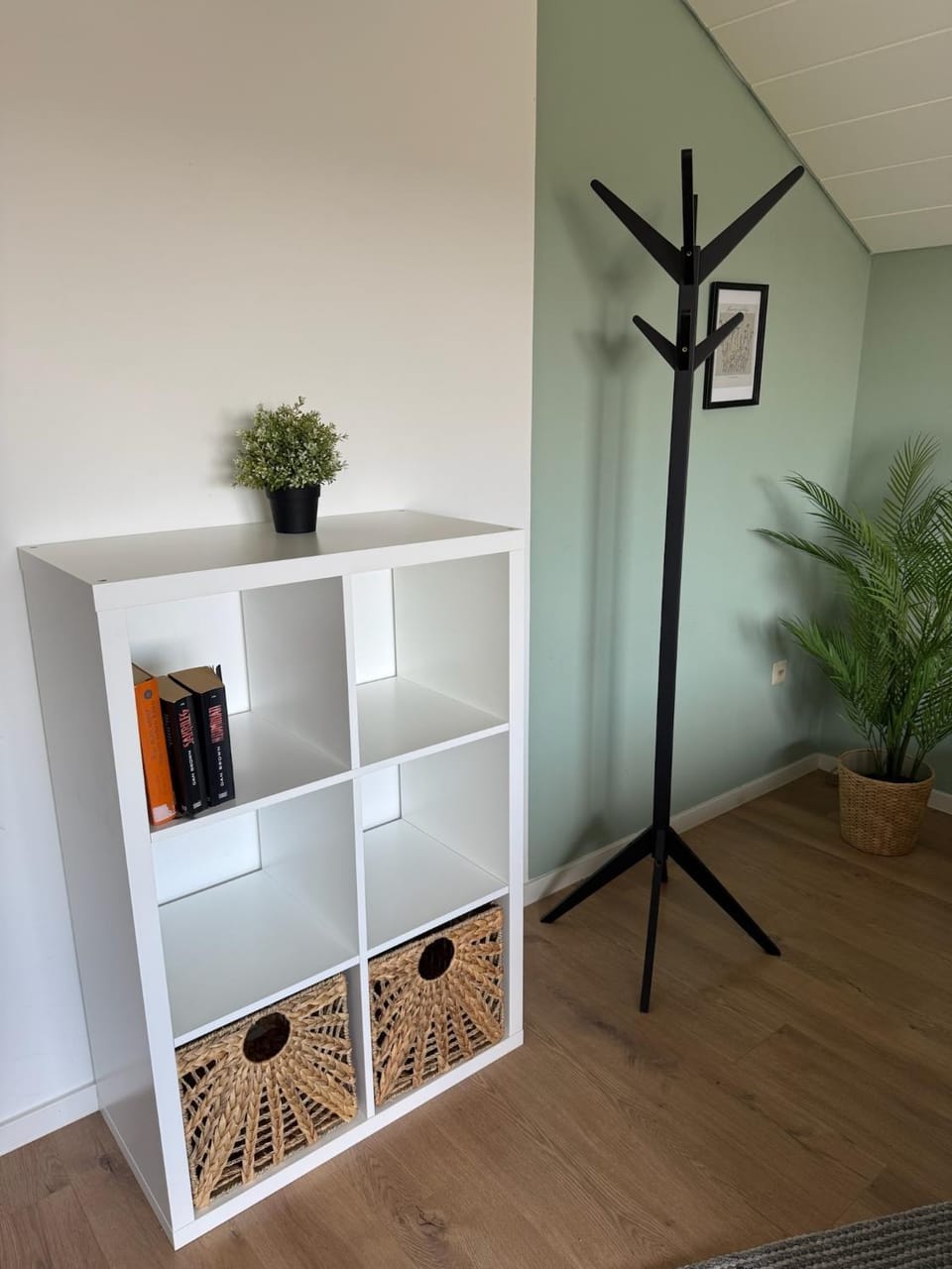 Library, wardrobe