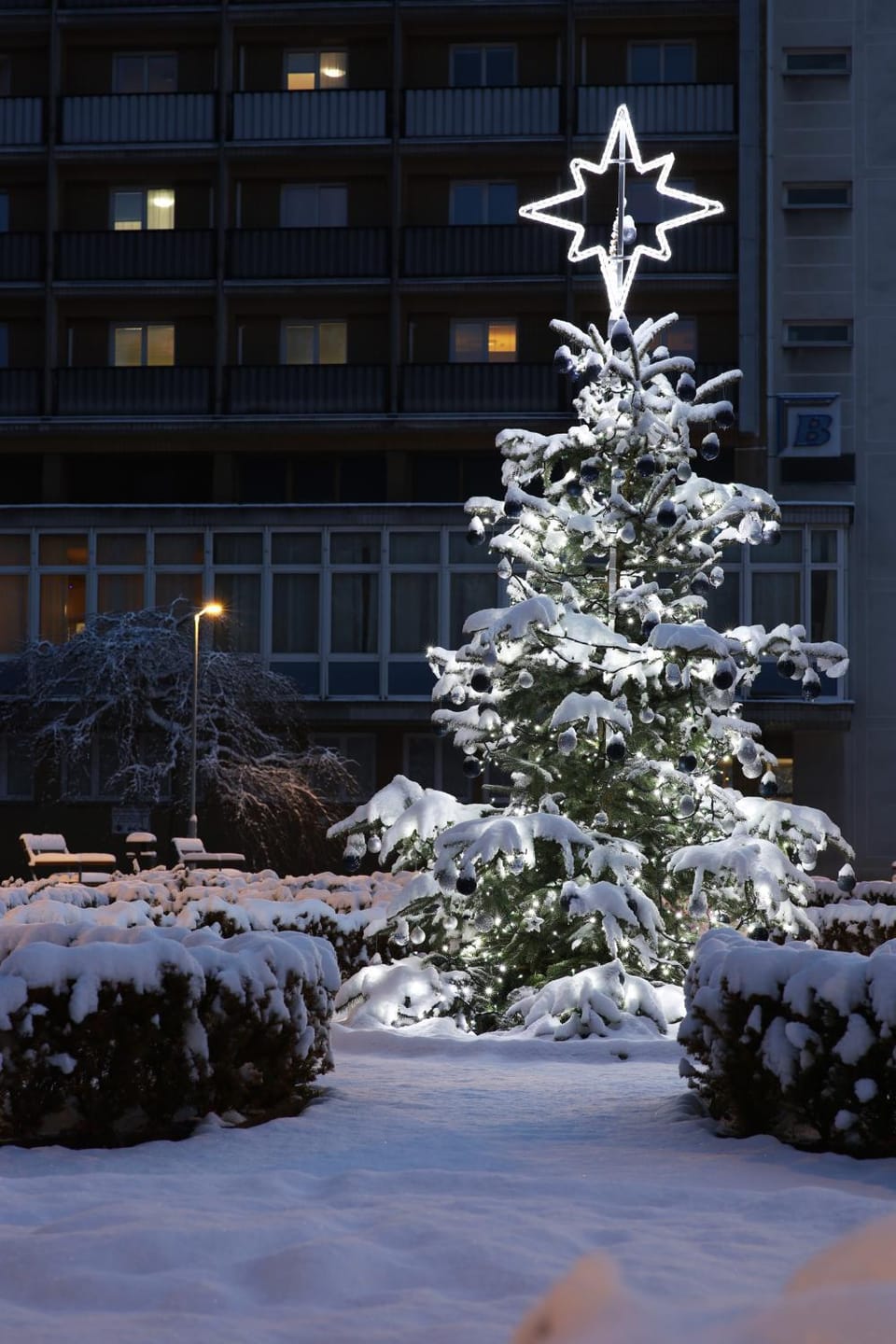 Winter
