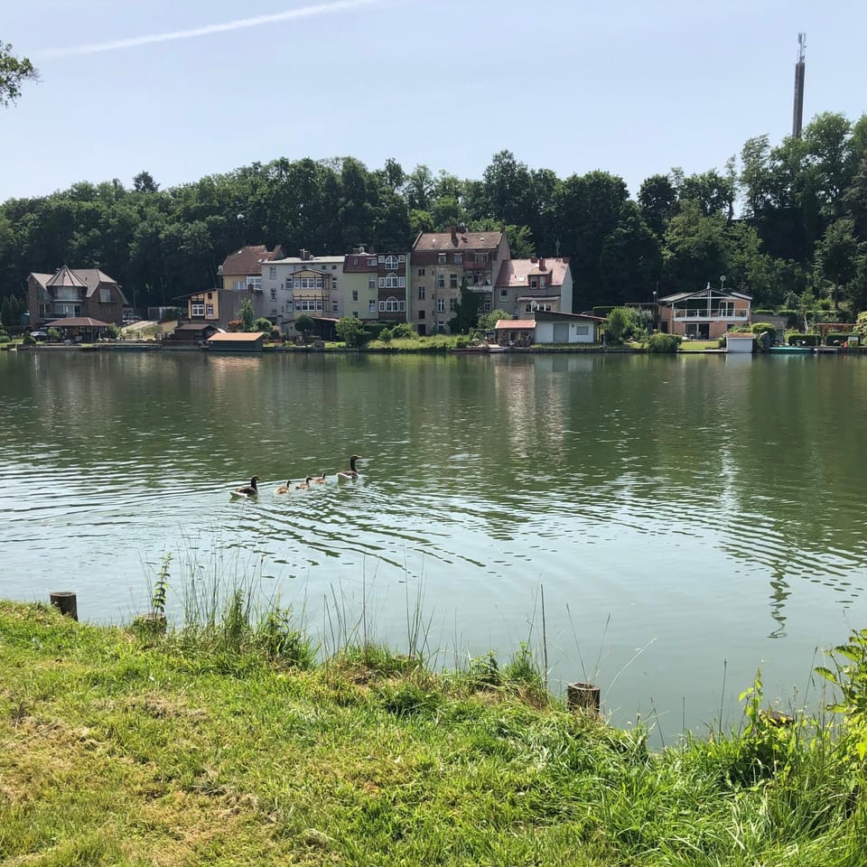 Lake view