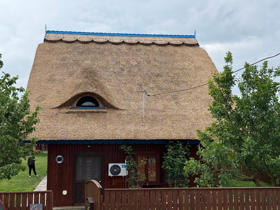 Vila Pagaya Bed and Breakfast in Romania