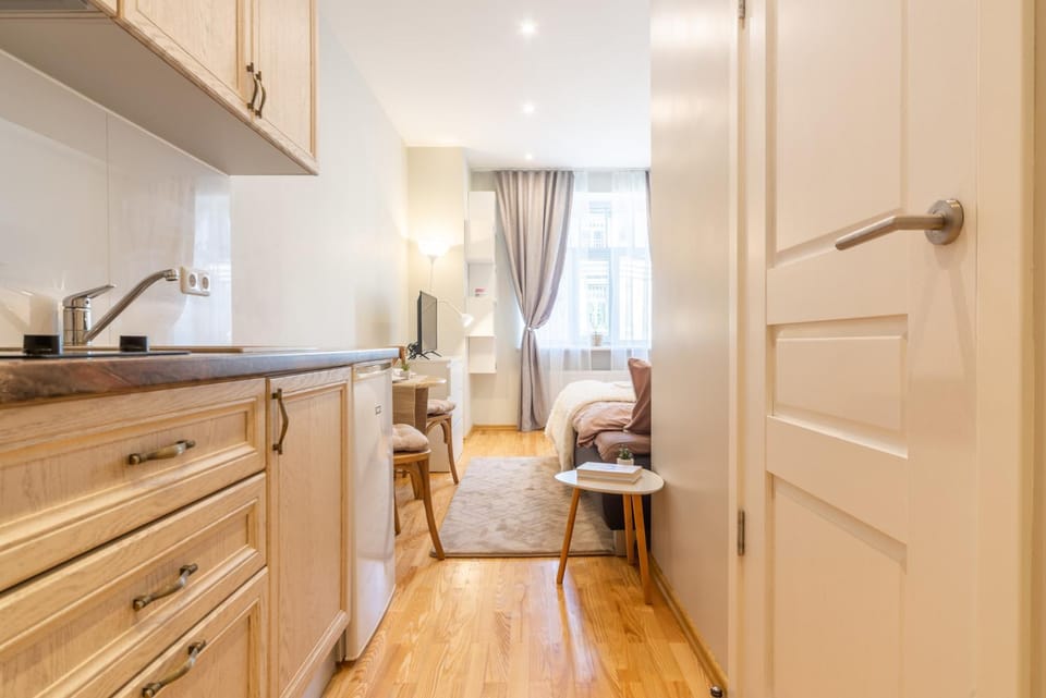 Valdemara Design Studio Apartment in City Center Apartment in Riga