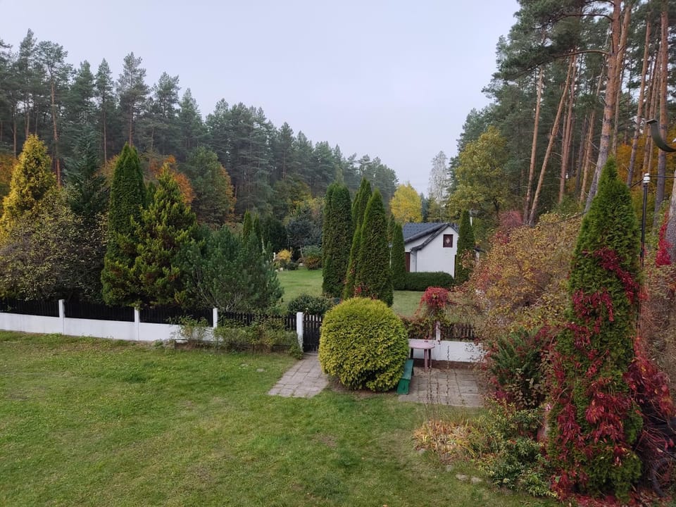 Property building, Garden, Garden view