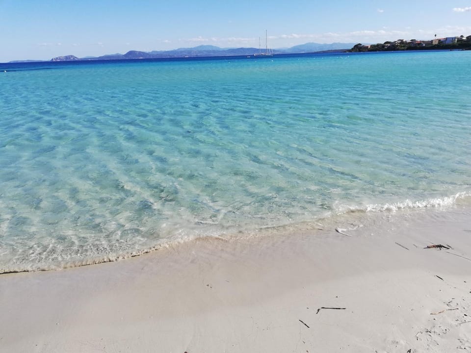 Day, Summer, Beach, On site