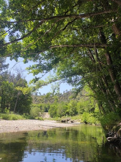 Natural landscape, Garden, Garden, Beach, River view
