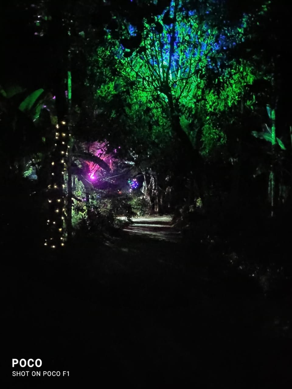 Natural landscape