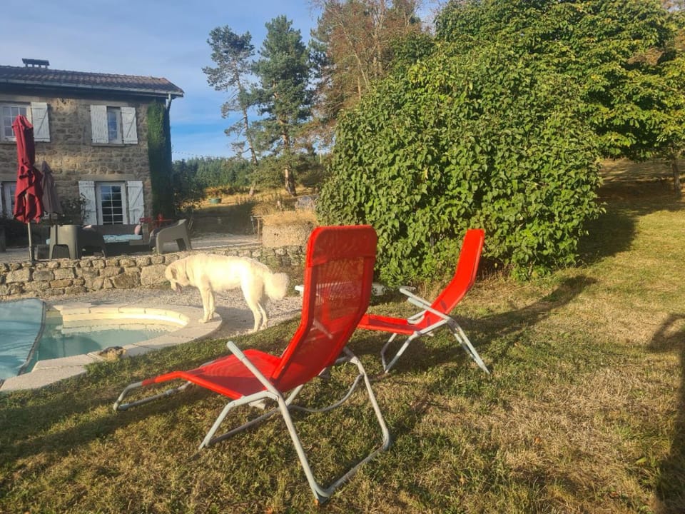 sunbed