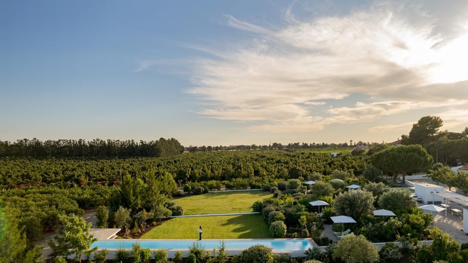 Natural landscape, Pool view, Swimming pool