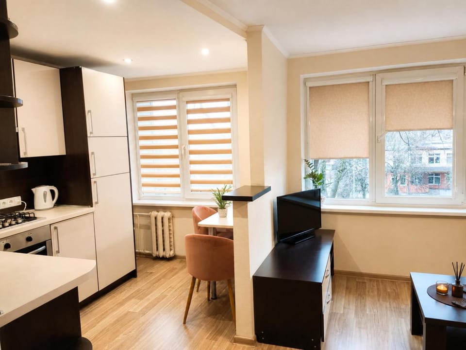 Nemunas Apartment in Lithuania
