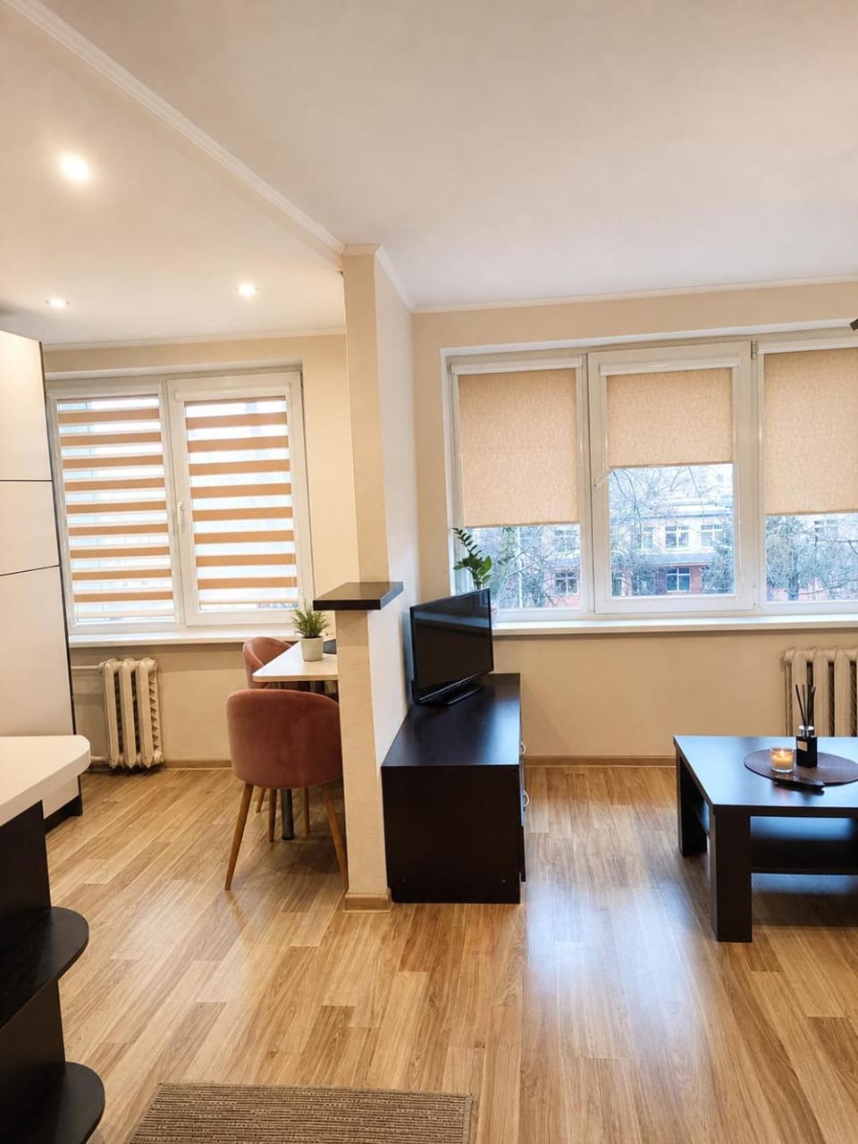 Nemunas Apartment in Lithuania