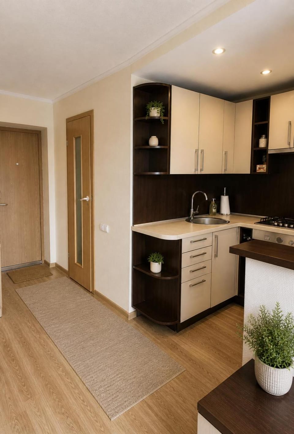 Nemunas Apartment in Lithuania