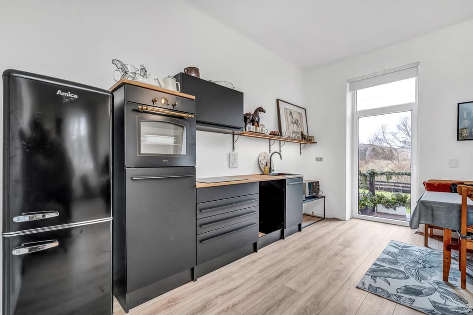 Kitchen or kitchenette, minibar, pet friendly, stove, kitchen