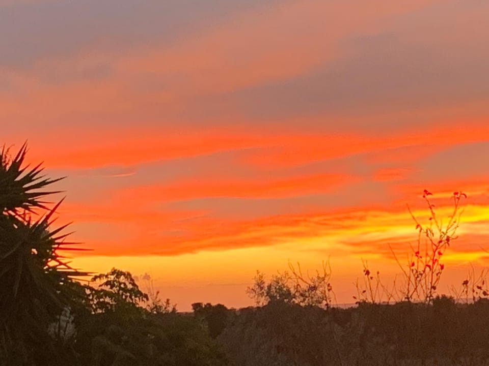 Natural landscape, View (from property/room), Sunrise