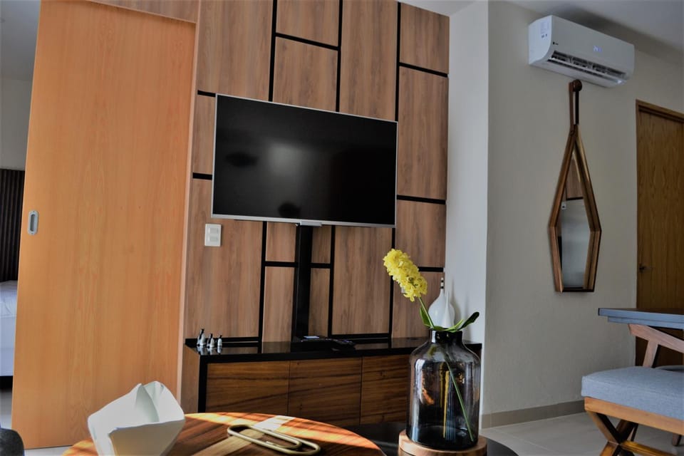 TV and multimedia