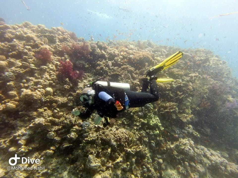Snorkeling