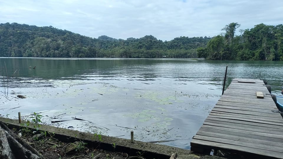 Natural landscape, River view