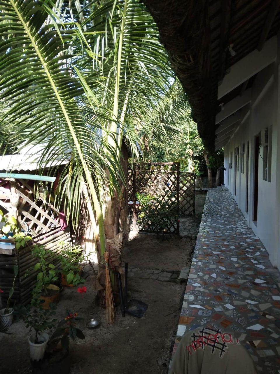 Linden Apartment Apartment in Bicol