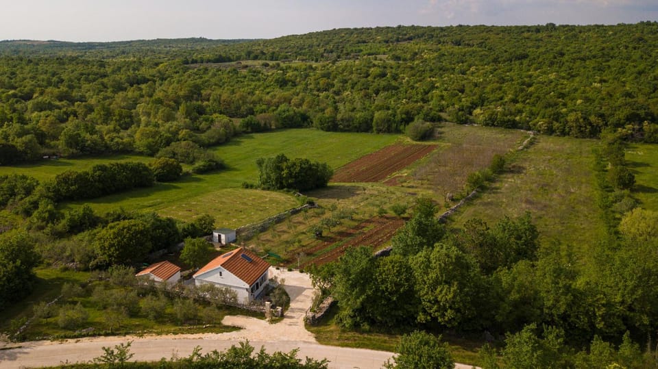 Natural landscape, Bird's eye view