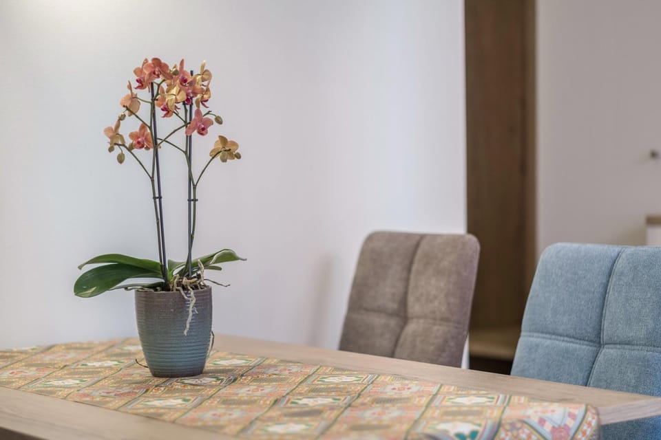 Apartment Isabel Apartment in Bolzano