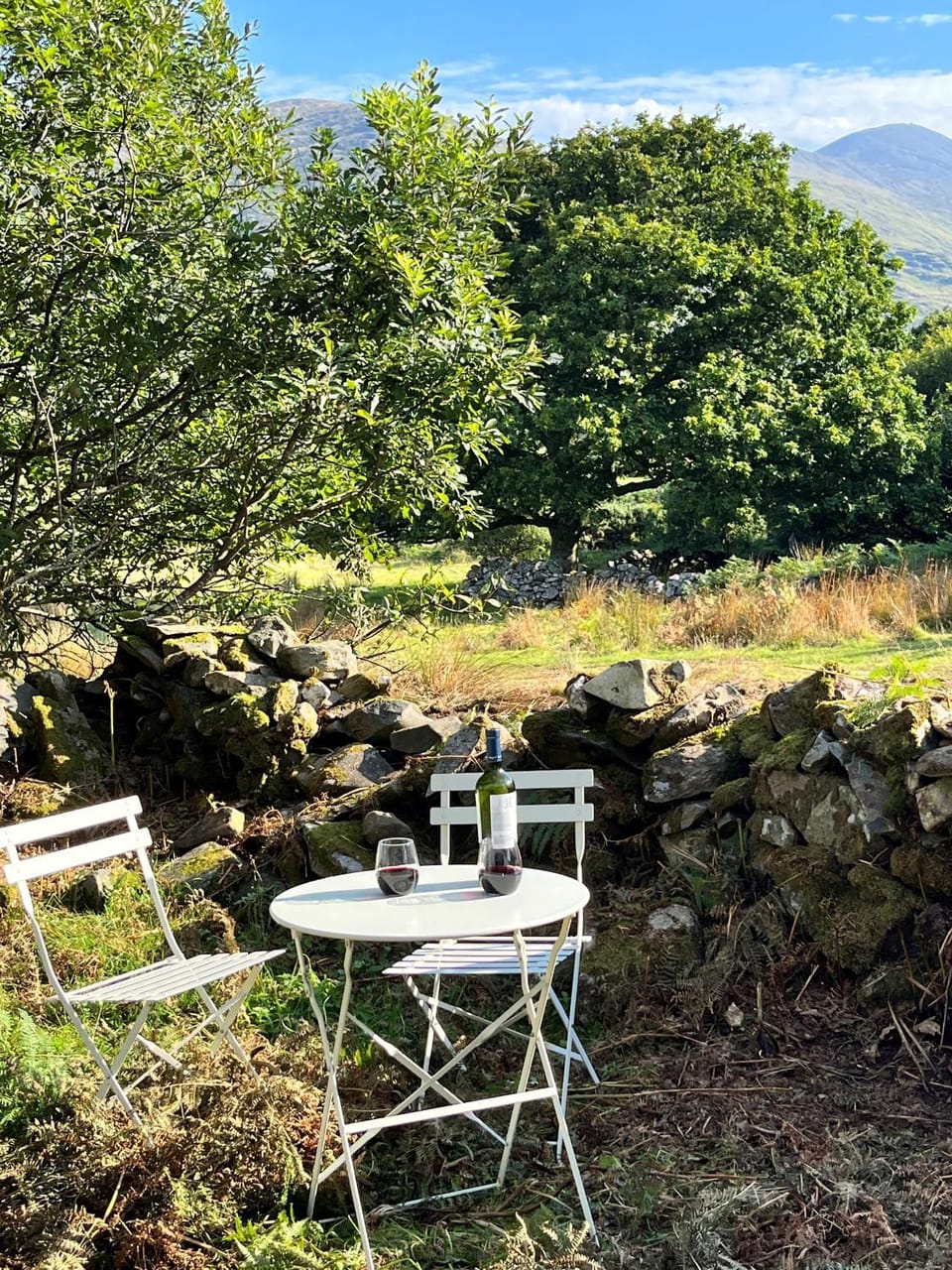 Patio, Garden, Other, Mountain view, Drinks, Alcoholic drinks