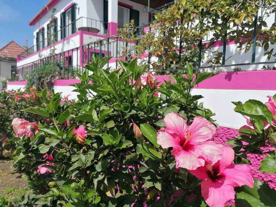 Westerland House Villa in Madeira District