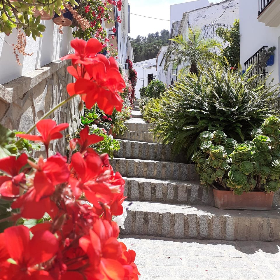 Casa de las Flores - a picture perfect location! House in Sierra de Cádiz
