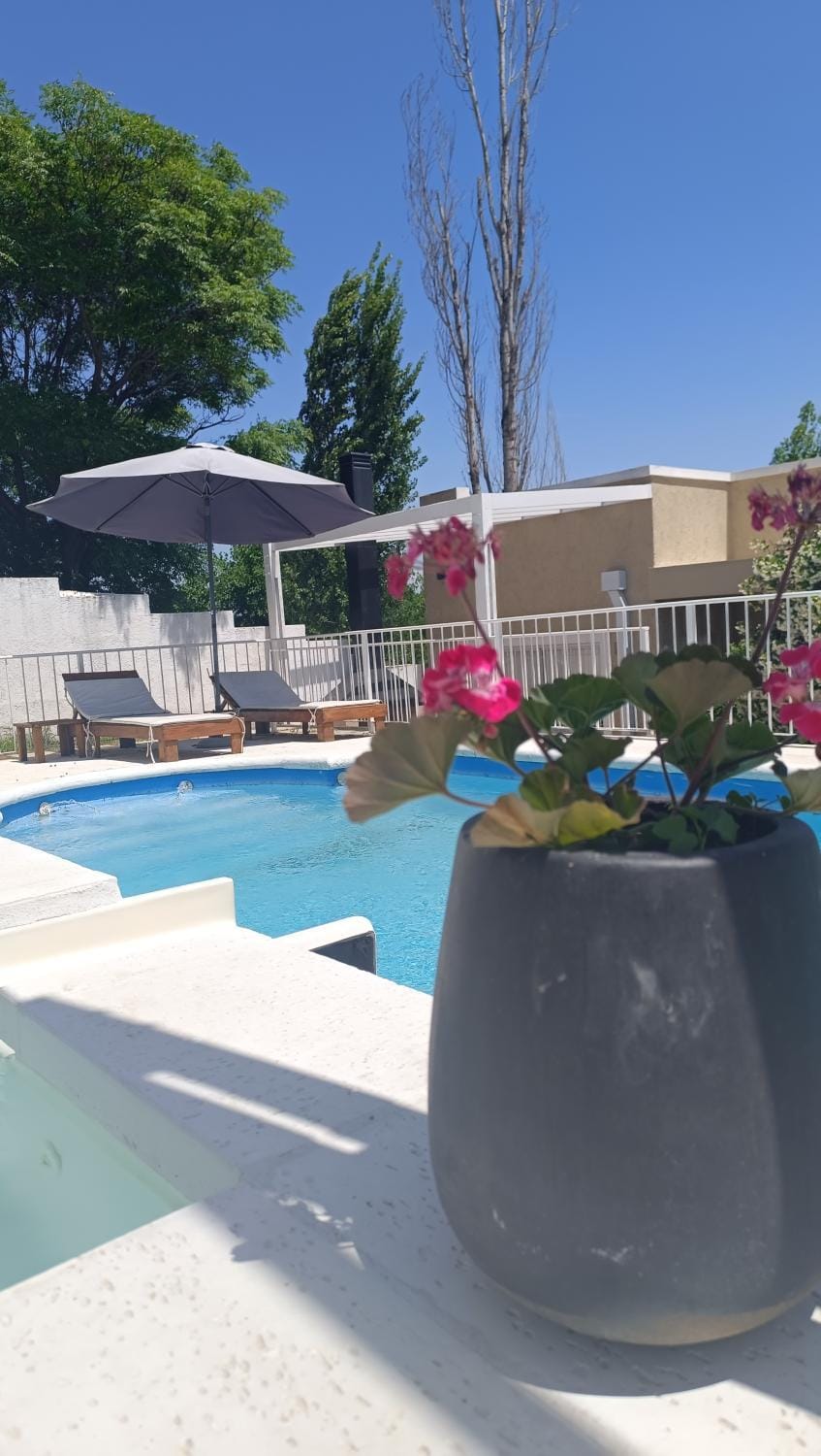 Pool view