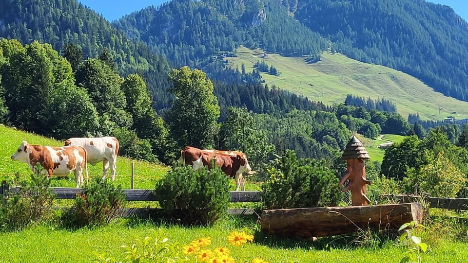 Garden view, Mountain view
