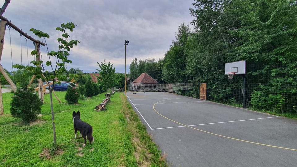 Day, Neighbourhood, Natural landscape