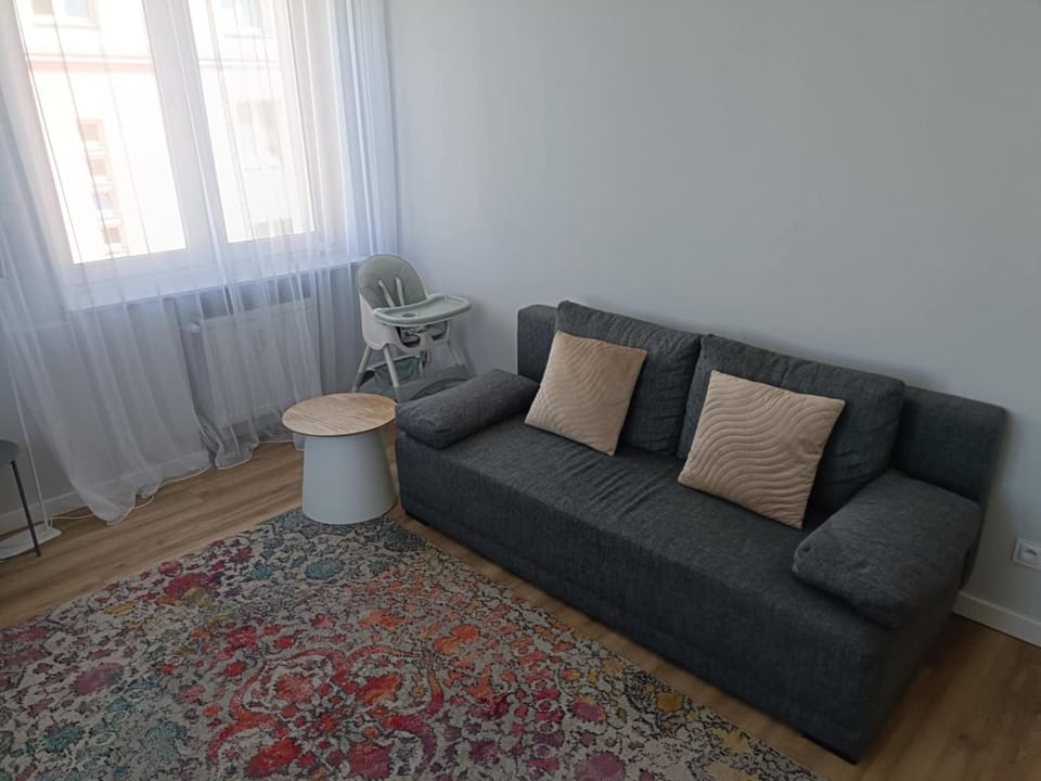 Apartament Szpitalna Apartment in Poznan