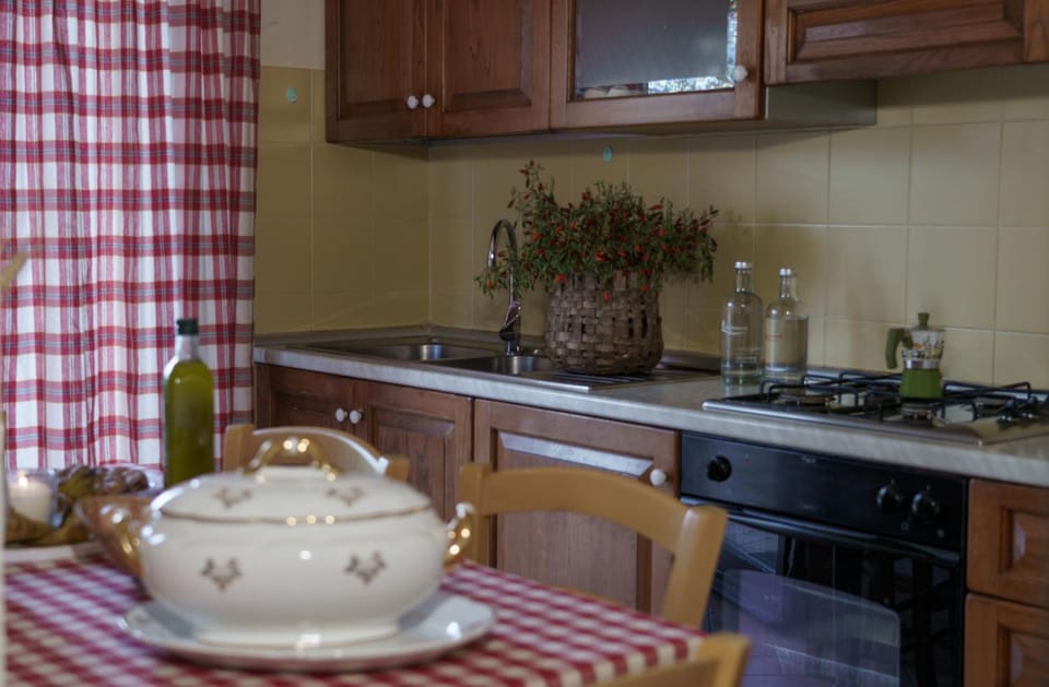 Kitchen or kitchenette, Dining area, stove