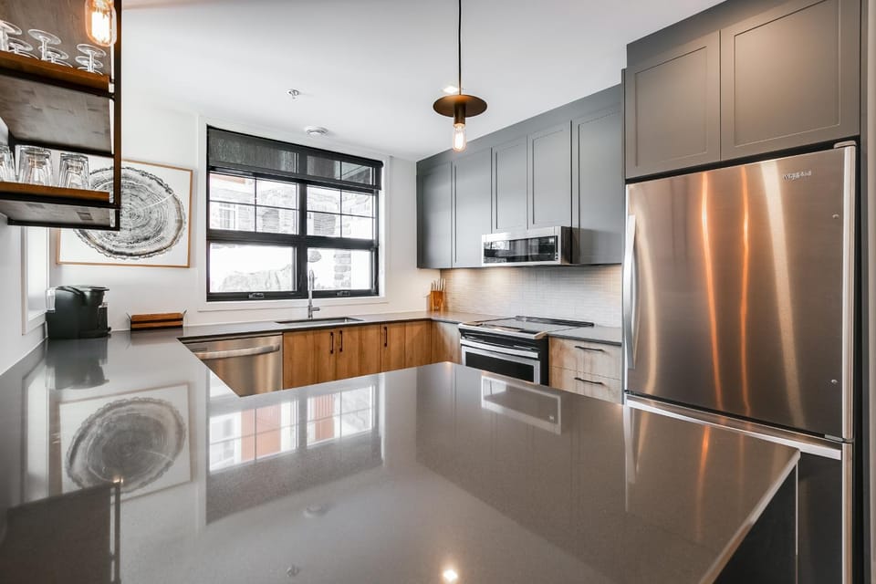 Kitchen or kitchenette, dishwasher, minibar, pet friendly, stove