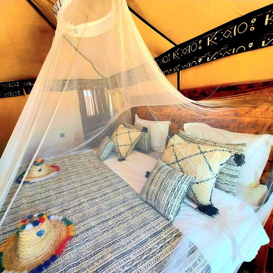 Bed, Seating area, Bedroom