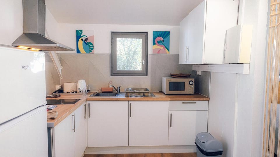 Kitchen or kitchenette, kitchen