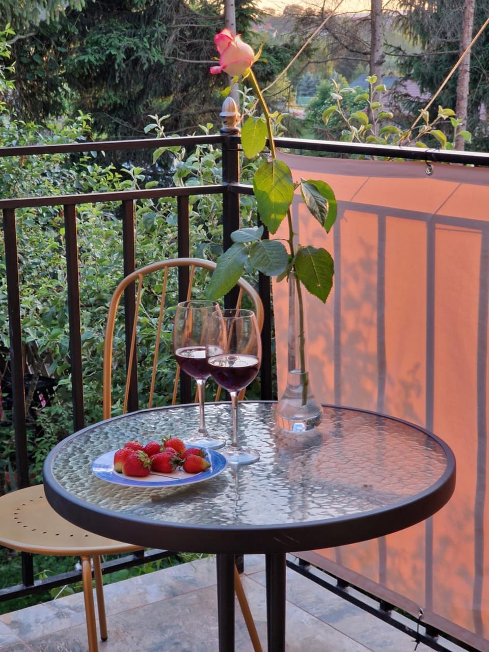 Balcony/Terrace, Food and drinks