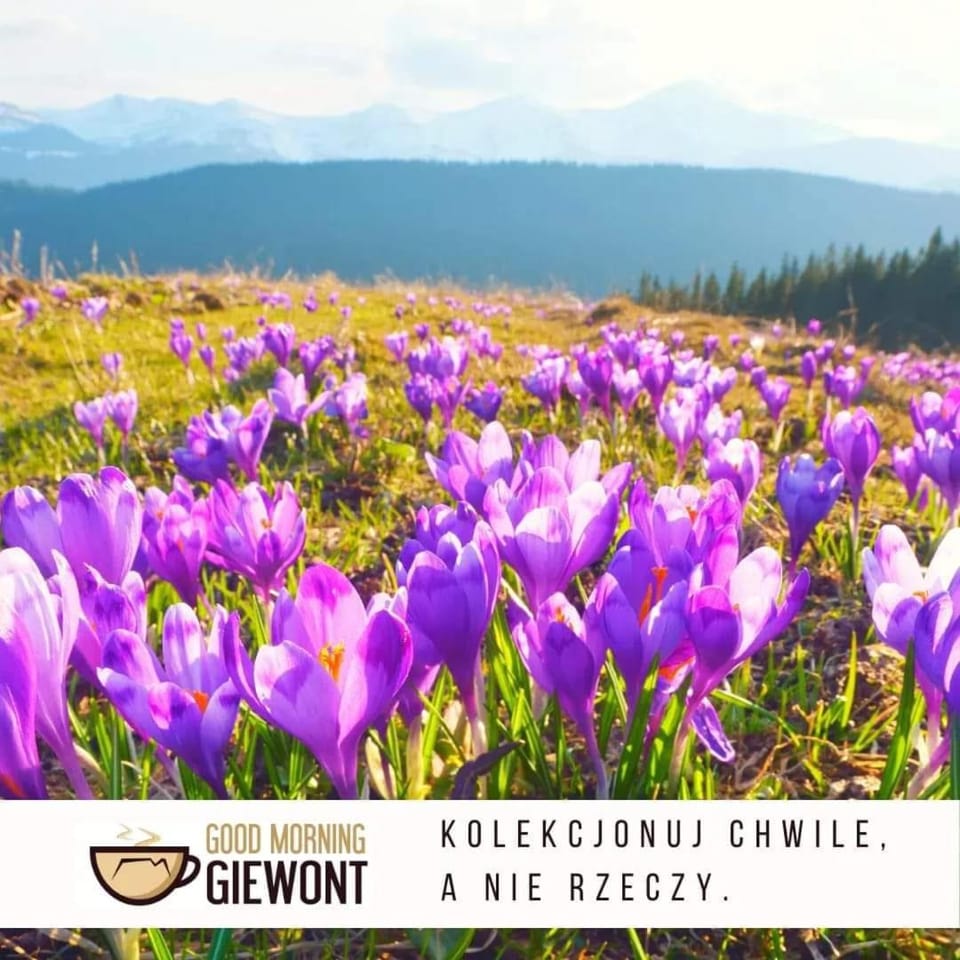 Good Morning Giewont & JACUZZI Apartment in Zakopane
