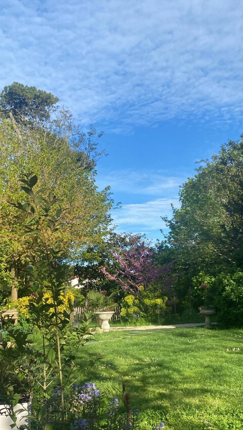 Garden view