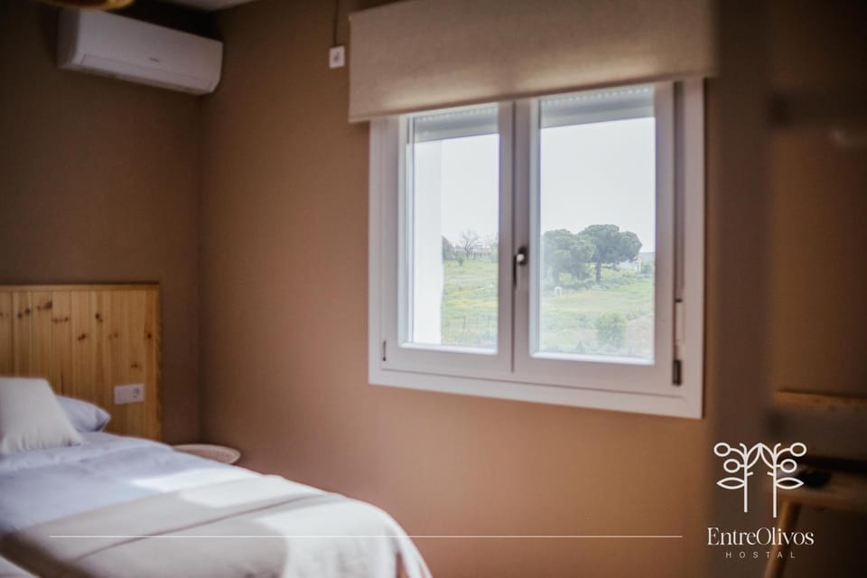 HOSTAL ENTREOLIVOS Bed and Breakfast in Extremadura, Spain