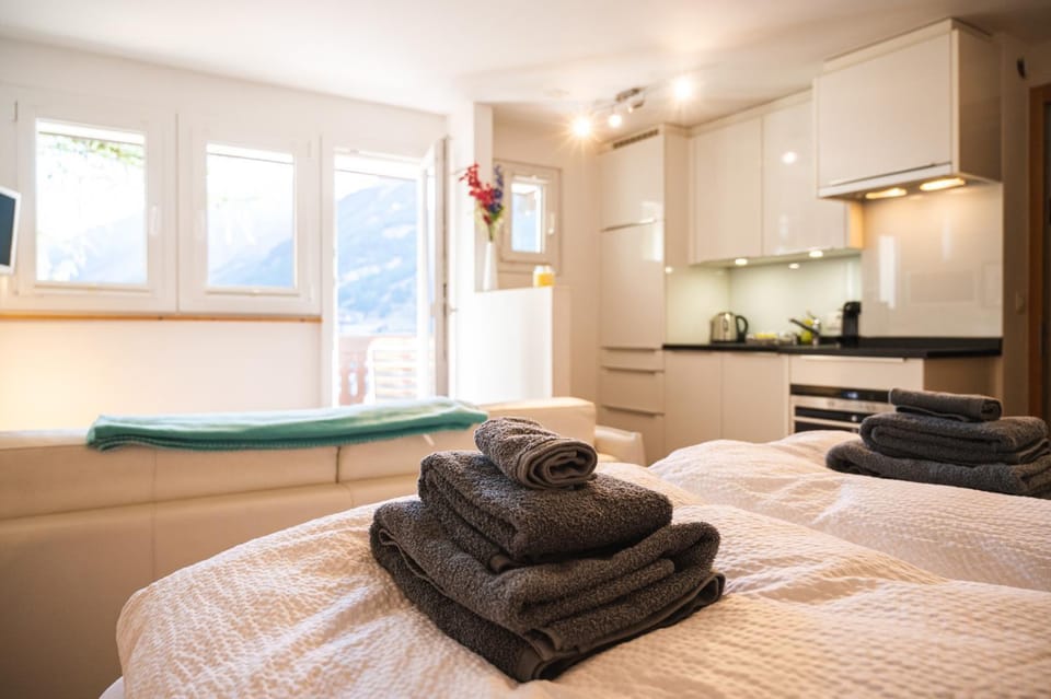 Studio direkt im Zentrum, tolle Terrasse, Aussicht Apartment in Zermatt