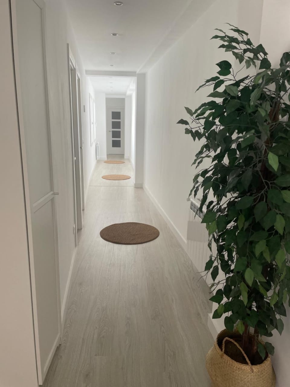 Plata 2 Apartment in Zamora
