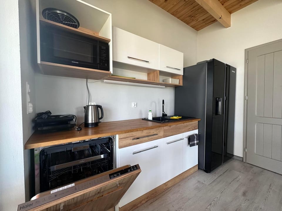 Kitchen or kitchenette, dishwasher, minibar, pet friendly, stove